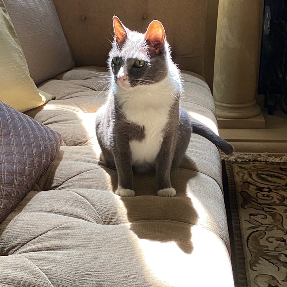 Meet your Posher, Jessica - Picture 2 of 3